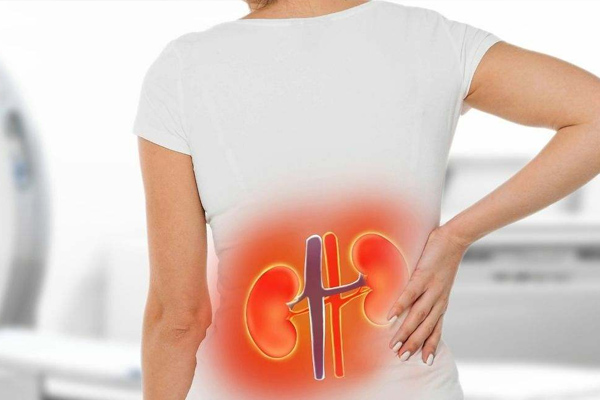 Células Madre para Insuficiencia Renal